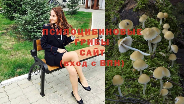 спайс Алзамай