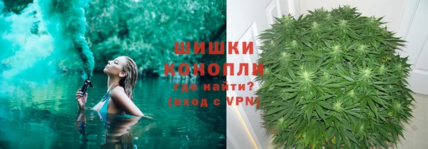 спайс Алзамай