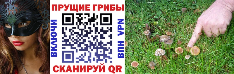 OMG онион Джанкой Псилоцибиновые грибы мухоморы